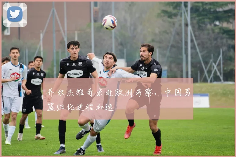 乔尔杰维奇亲赴欧洲考察，中国男篮归化进程加速