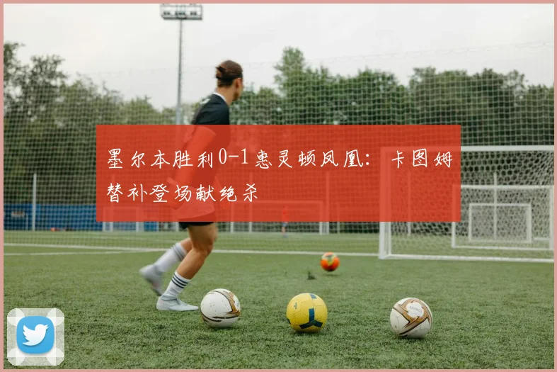 墨尔本胜利0-1惠灵顿凤凰：卡图姆替补登场献绝杀
