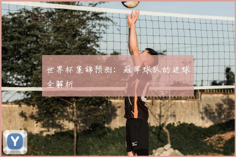 世界杯集锦预测：冠军球队的进球全解析