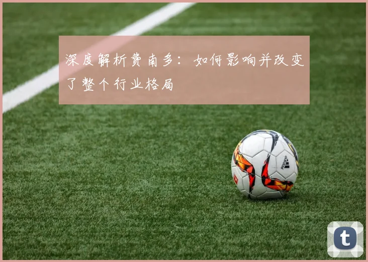 深度解析费南多：如何影响并改变了整个行业格局