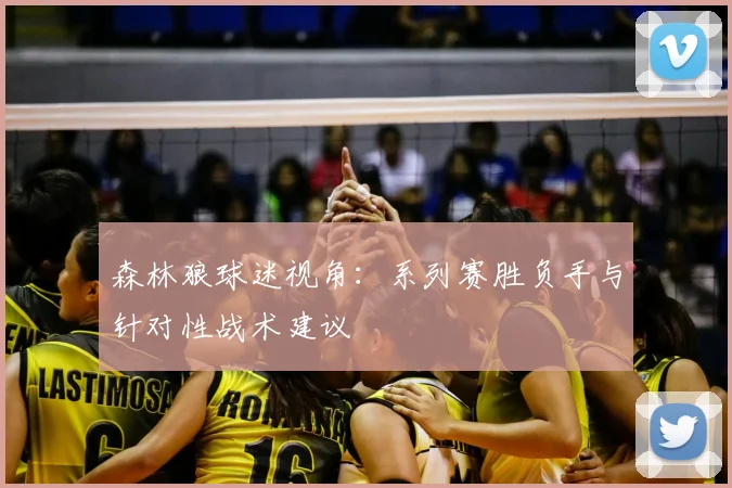 森林狼球迷视角：系列赛胜负手与针对性战术建议