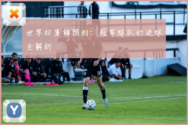 世界杯集锦预测：冠军球队的进球全解析