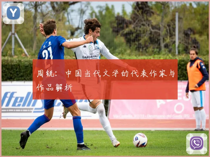 周锐：中国当代文学的代表作家与作品解析